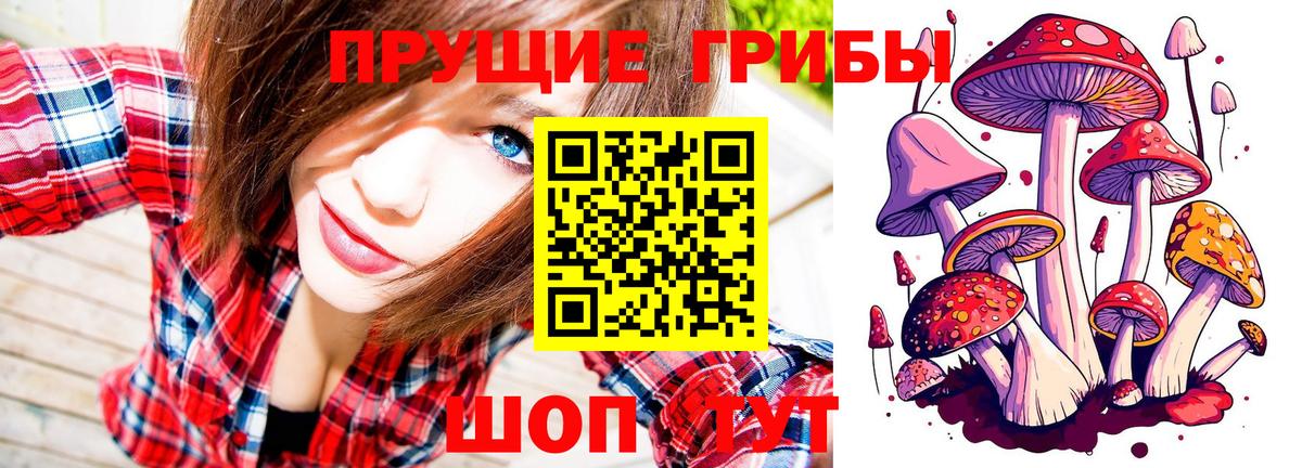 Псилоцибиновые грибы Psilocybine cubensis Биробиджан